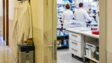 Il Tigem di Pozzuoli riparte: i ricercatori tornano progressivamente nei laboratori dopo il terremoto